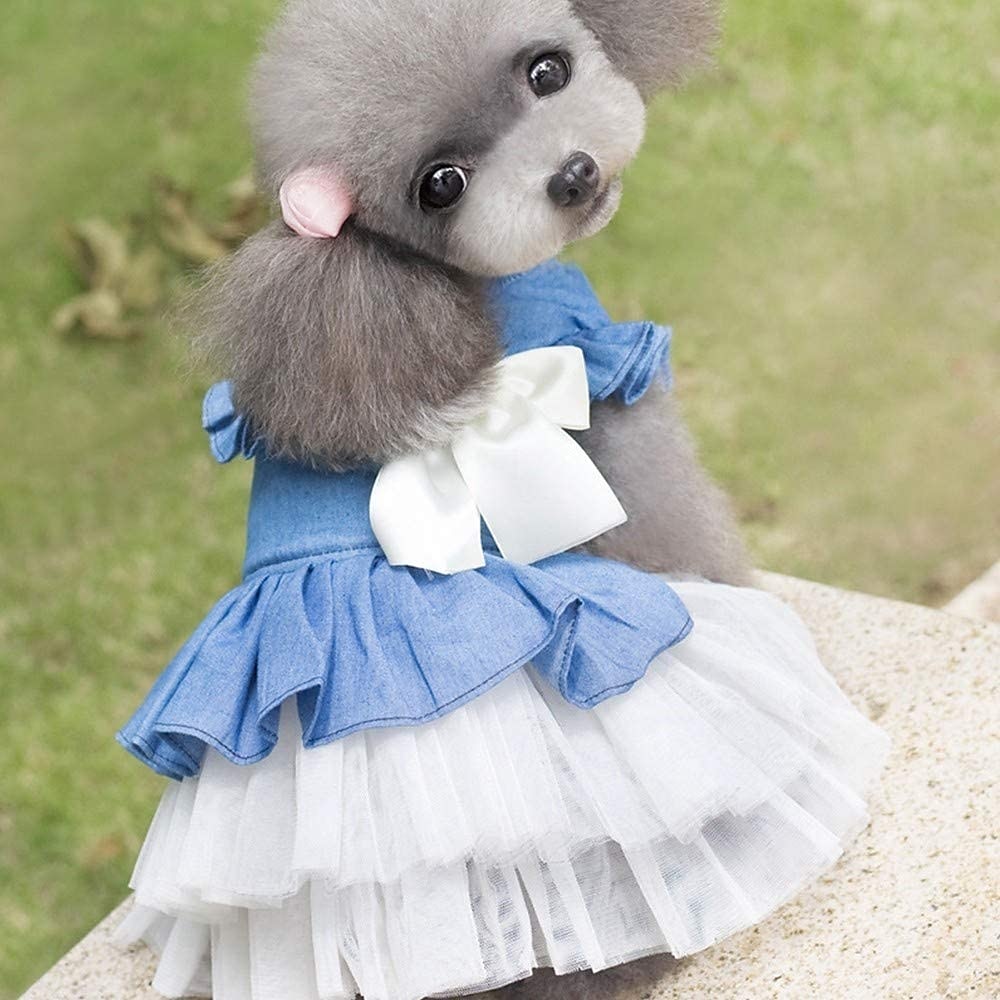 Chien Robe Vêtements pour Chiot Jupe Adorable Décontracté Quotidien Doux Été Printemps & Automne Vêtements pour Chiens de 2025 ? $18.99 –P1