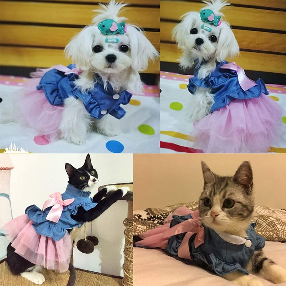 Chien Robe Vêtements pour Chiot Jupe Adorable Décontracté Quotidien Doux Été Printemps & Automne Vêtements pour Chiens de 2025 ? $18.99 –P5