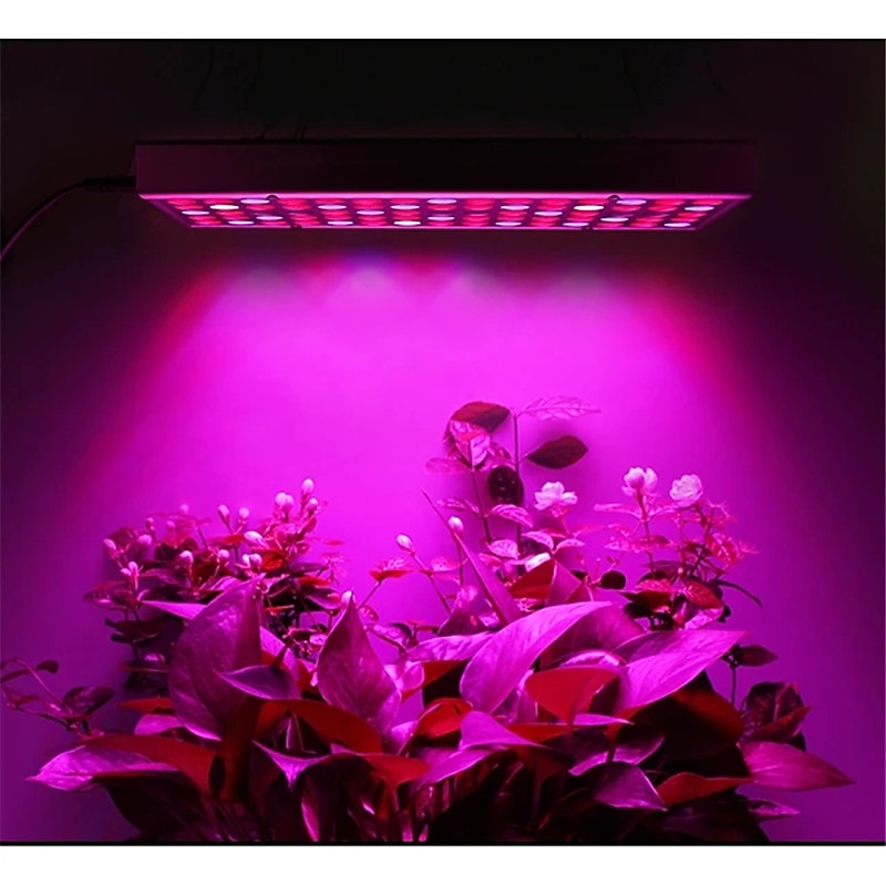 مصباح نمو LED كامل الطيف بقوة 25 وات - ضوء أسود SMD2835 فيتولامب مع الأشعة فوق البنفسجية والأشعة تحت الحمراء لنمو النباتات الداخلية والإزهار (قابس الاتحاد الأوروبي/الولايات المتحدة/المملكة المتحدة/أستراليا) 2025 - $36.99 –P7