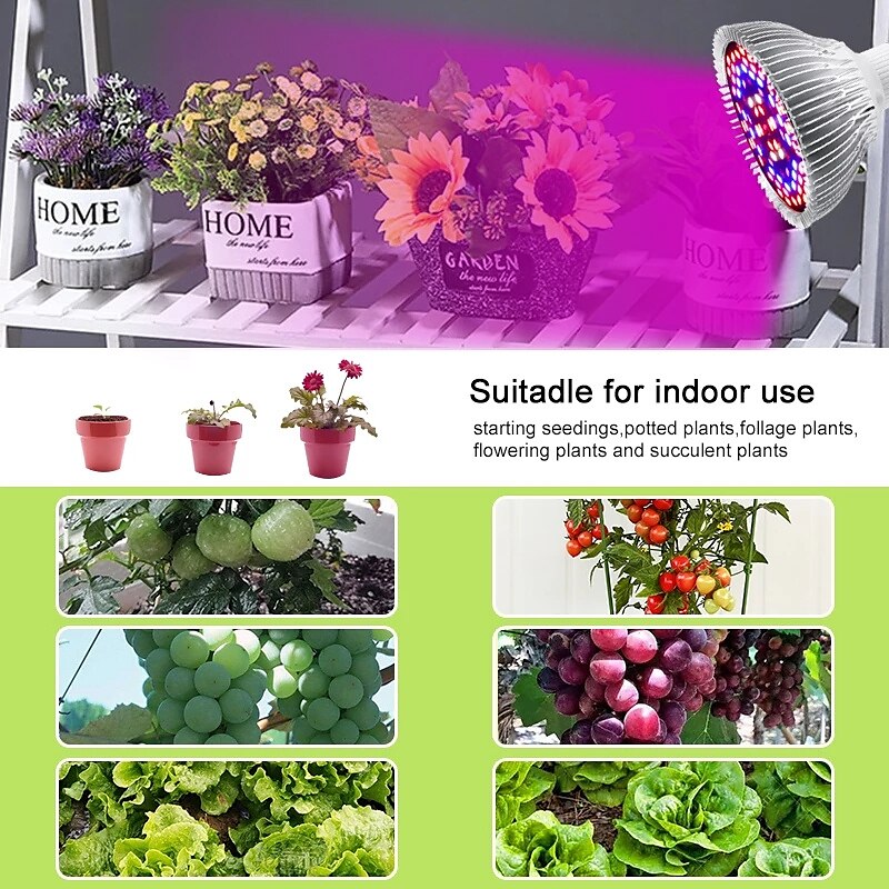 LED Plant Grow Light Lamp Bulb Full Spectrum E27 Phytolamp Full Range ffor Indoor Plants Greenhouse Vegetables Succulent Hydroponics Organic Seedlings 1pc 2025 - $11.49 –P6