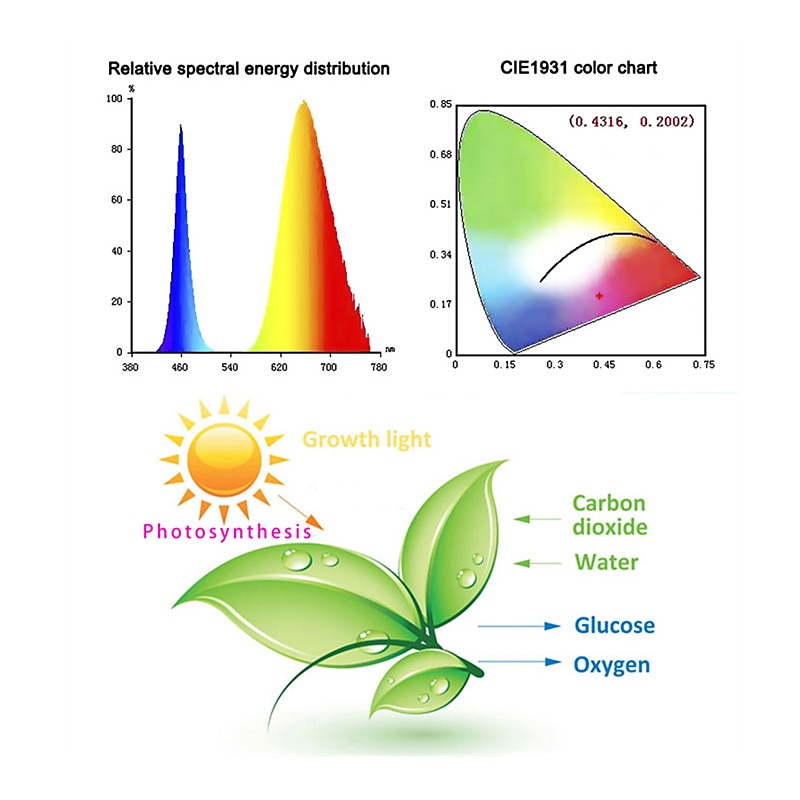 LED Plant Grow Light Lamp Bulb Full Spectrum E27 Phytolamp Full Range ffor Indoor Plants Greenhouse Vegetables Succulent Hydroponics Organic Seedlings 1pc 2025 - $11.49 –P4