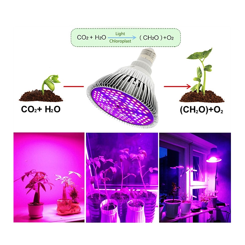 LED Plant Grow Light Lamp Bulb Full Spectrum E27 Phytolamp Full Range ffor Indoor Plants Greenhouse Vegetables Succulent Hydroponics Organic Seedlings 1pc 2025 - $11.49 –P5