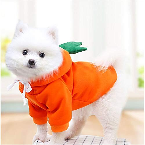 hund hoodie kläder- hund grundtröja kapp söt morot form varm jacka utomhus husdjur kallt väder kläder outfit ytterkläder för små hundar katter valp små djur 2025 - $24.99 –P7