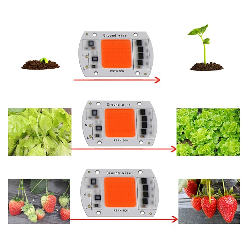 LED Grow Chip 10pcs 6pcs 20W 30W 50W COB Chip LED Lamp 220V 240V No Need Driver for Flood Light Spotlight Lampada DIY Lighting 2025 - $19.99 –P5