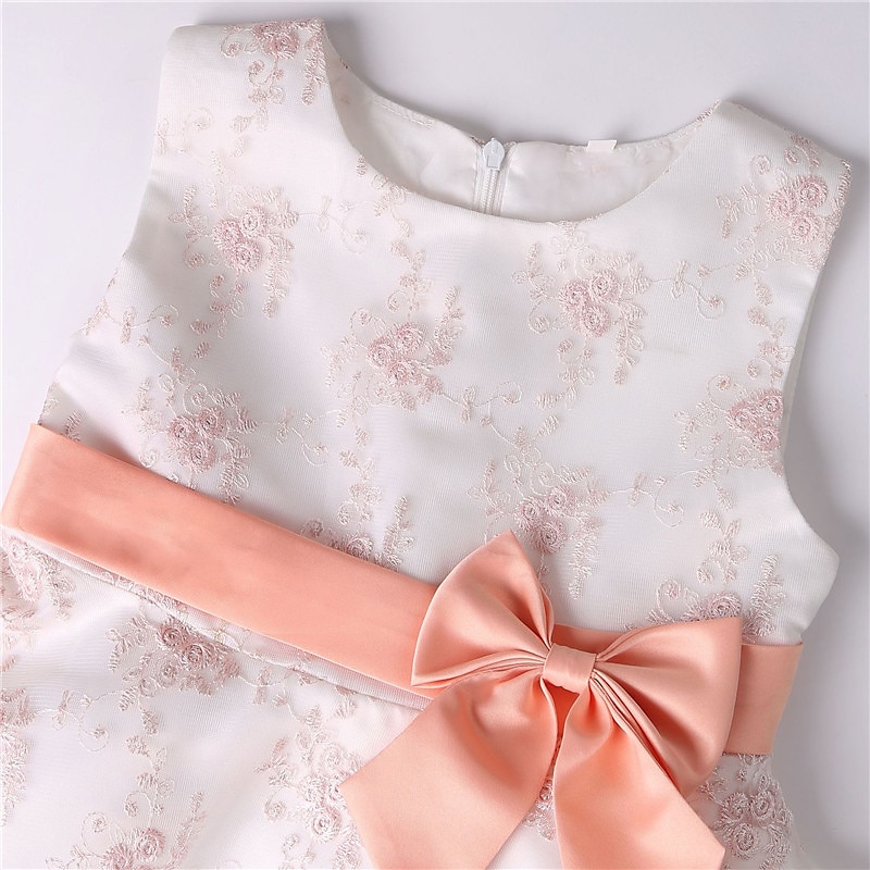 Kids Girls' Dress Floral Sleeveless Party Embroidered Lace Trims Bow Cute Cotton Knee-length Skater Dress Summer 3-10 Years Pink Dusty Rose Red 2025 - $39.99 –P19