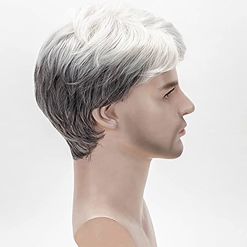 Short white hotsell hair wig mens