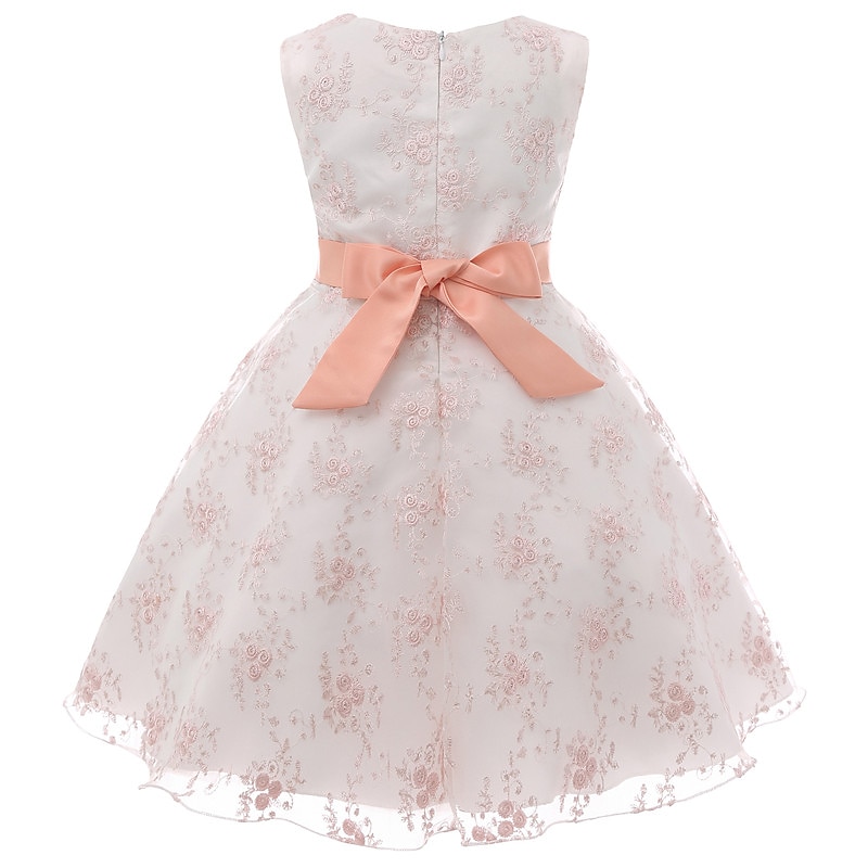 Kids Girls' Dress Floral Sleeveless Party Embroidered Lace Trims Bow Cute Cotton Knee-length Skater Dress Summer 3-10 Years Pink Dusty Rose Red 2025 - $39.99 –P16