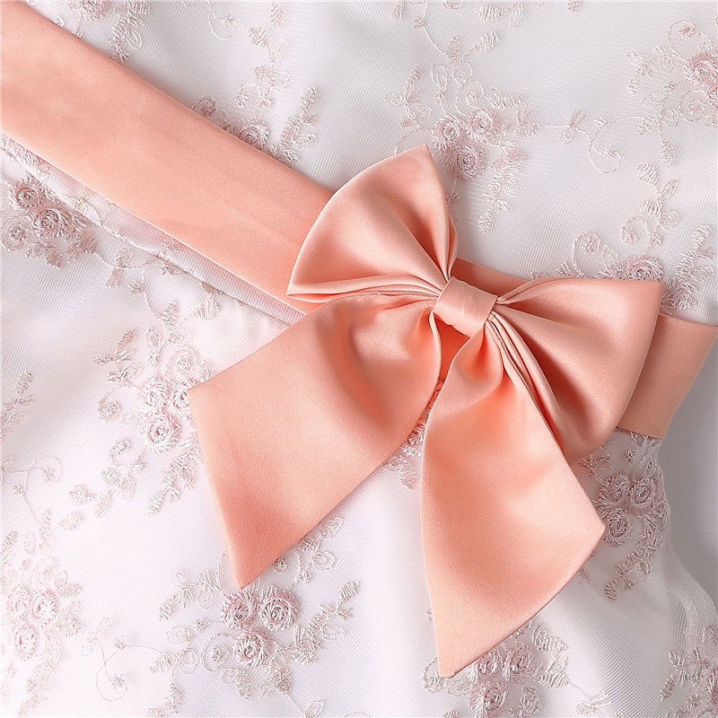 Kids Girls' Dress Floral Sleeveless Party Embroidered Lace Trims Bow Cute Cotton Knee-length Skater Dress Summer 3-10 Years Pink Dusty Rose Red 2025 - $39.99 –P20