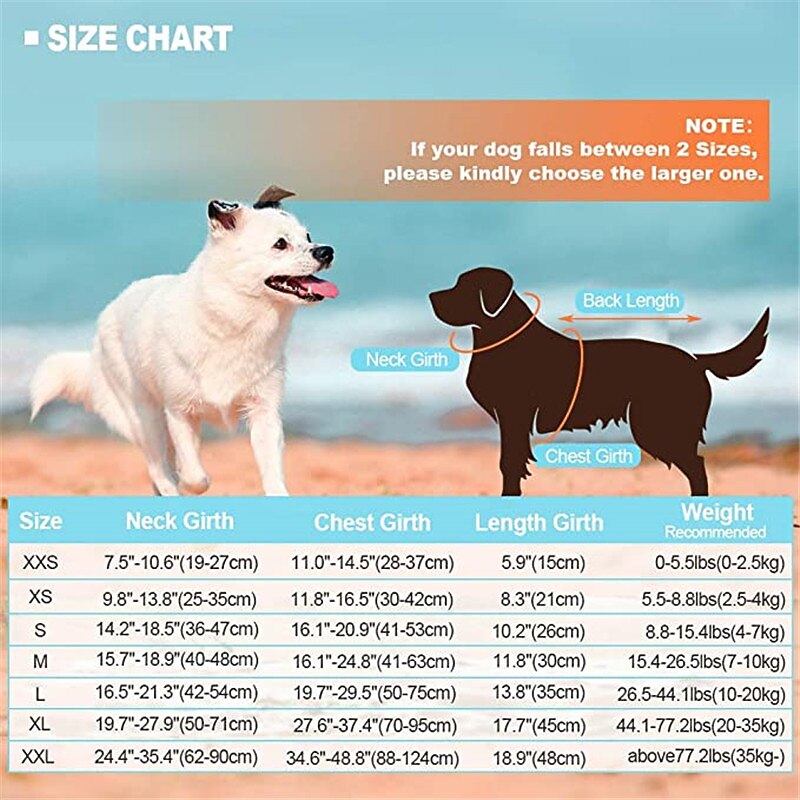 Dog Dog Life Jacket Reflective Adjustable Sports & Outdoors Safety Beach Pool Dog Clothing for Husky Golden Retriever Bichon Frise Pomeranian Small 2025 - $20.99 –P13