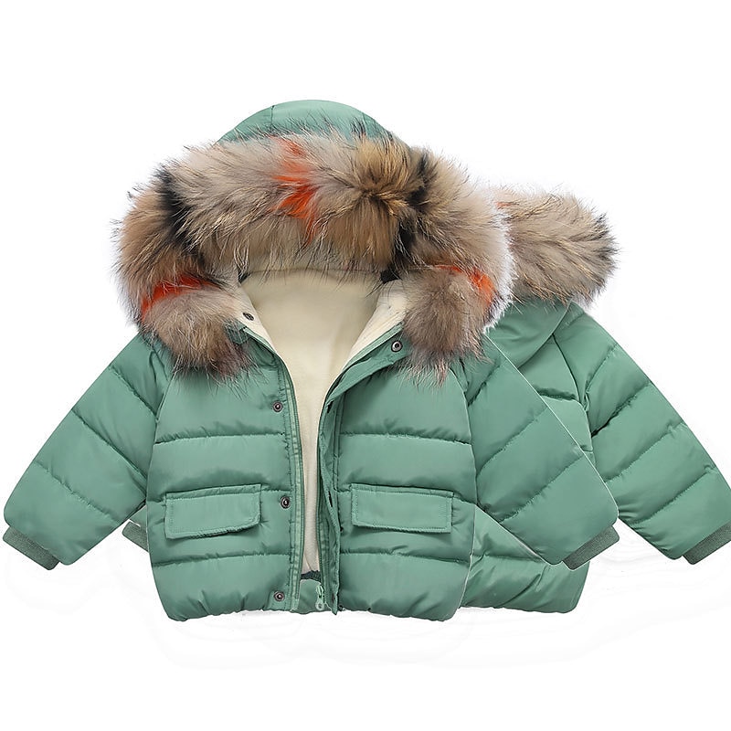 Unisex Gutt Jente 3D عادي Jakke Dun Langermet Høst Vinter Aktiv Mote Grunnleggende Barn 2-6 år Skole Feriereise Gate Normal 2025 - $34.99 –P3