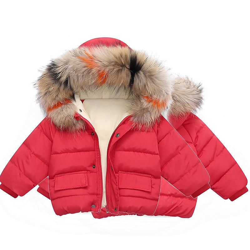 Unisex Gutt Jente 3D عادي Jakke Dun Langermet Høst Vinter Aktiv Mote Grunnleggende Barn 2-6 år Skole Feriereise Gate Normal 2025 - $34.99 –P6
