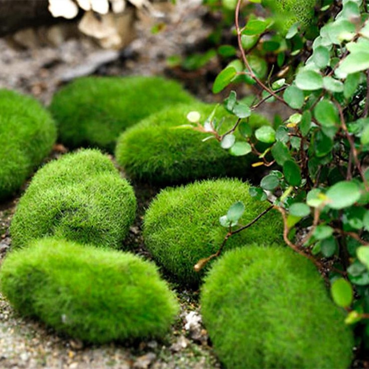 1pc Simulation Moss Creative Artificial Irregular Decoration for Home Garden 