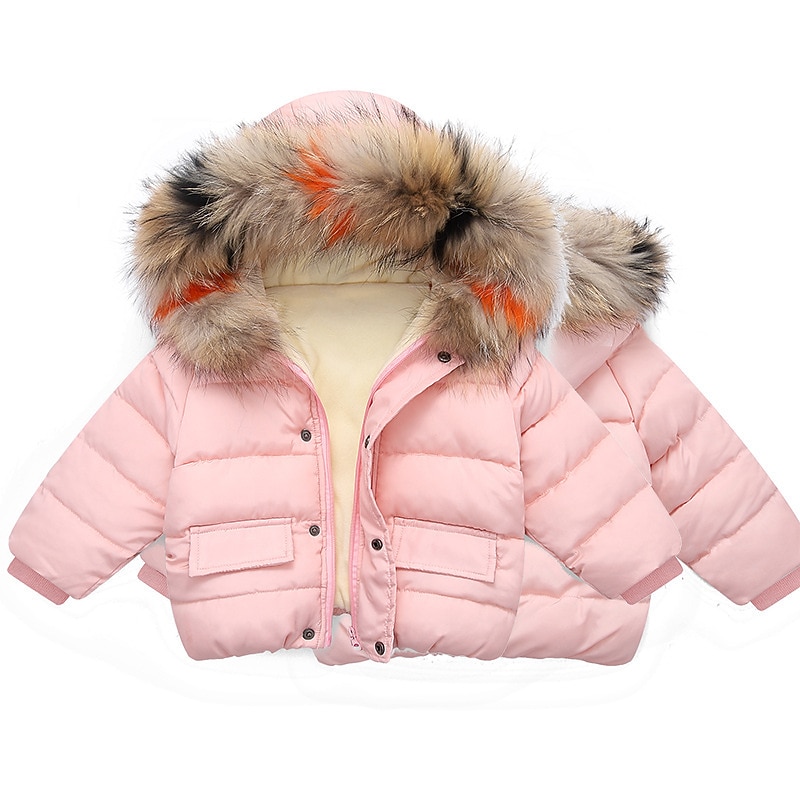 Unisex Gutt Jente 3D عادي Jakke Dun Langermet Høst Vinter Aktiv Mote Grunnleggende Barn 2-6 år Skole Feriereise Gate Normal 2025 - $34.99 –P4