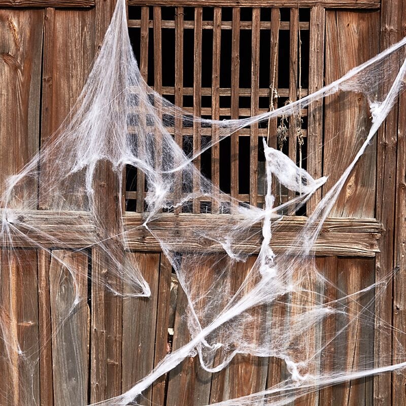 Halloween party dekorace rekvizity scéna 100g bílý pavouk hedvábí a 4 pavouci doplňky duch festival scéna rekvizity pavouk hedvábí pavučina příslušenství 2025 - $7.99 –P2