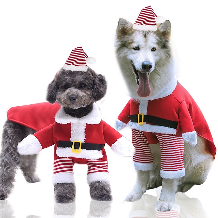 Hund Katt Julkostym Julklappar till husdjur Juloutfit jultomten söt stil Förtjusande Jul Ledigt / vardag Festival for Hes Bulldogg Mops Bichon Frisé Schnauzer 2025 - $15.49 –P4