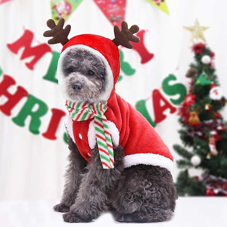 Hund Katt Julkostym Julklappar till husdjur Juloutfit jultomten söt stil Förtjusande Jul Ledigt / vardag Festival for Hes Bulldogg Mops Bichon Frisé Schnauzer 2025 - $15.49 –P11