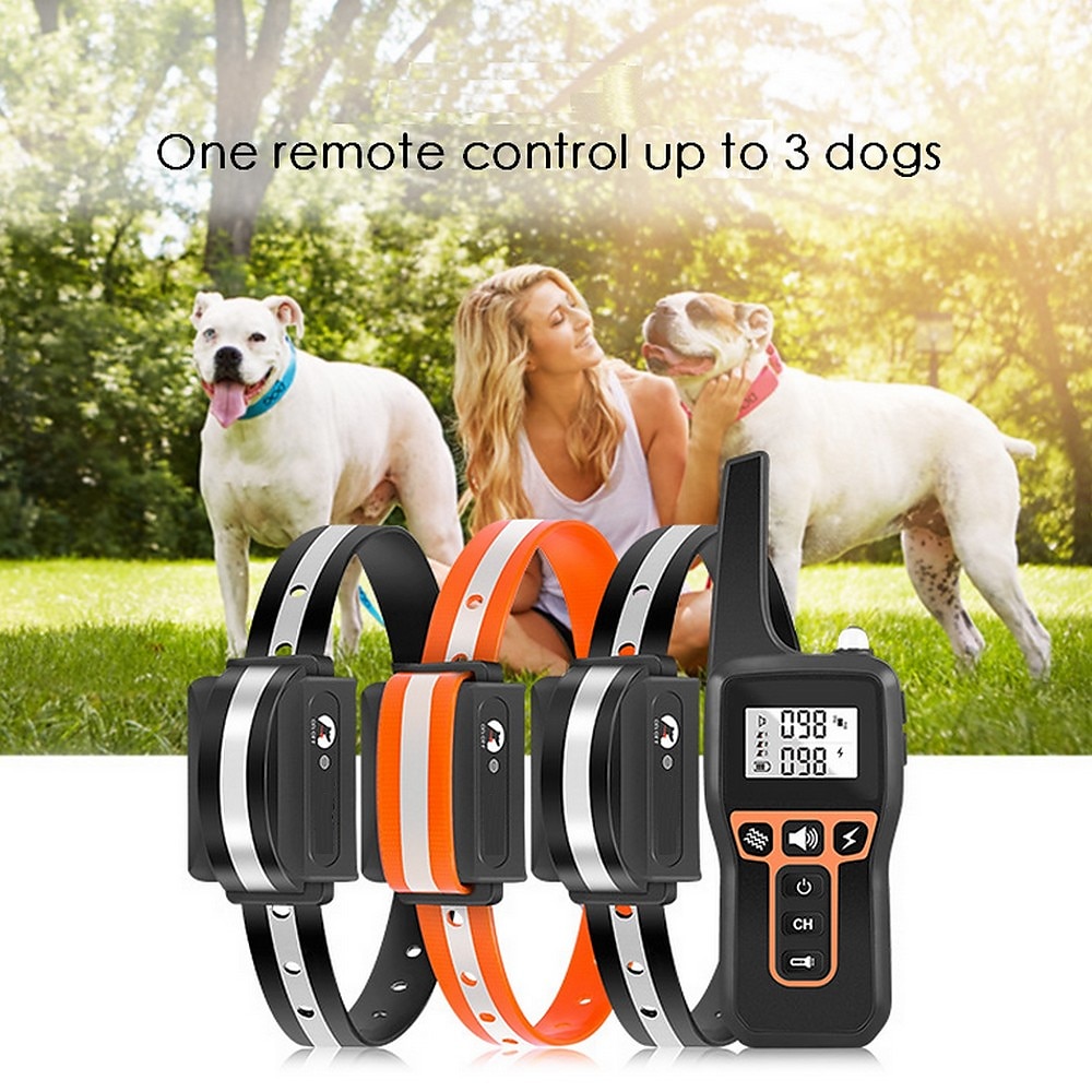 Collare elettrico per addestramento del cane da 1000 m collare antiabbaio  per animali domestici ricaricabile impermeabile leggero per cani shock  elettrico del 2024 a $54.99