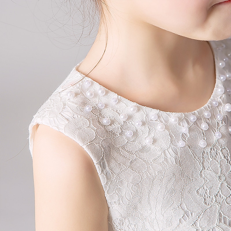 Bambino Da ragazza Abito da damigella Vestito Tinta unita Fiore decorativo Senza maniche Matrimonio Feste Informale Pizzo Multistrato stile sveglio Dolce Retato Di pizzo Tulle Abito da principessa del 2025 a $19.99 –P2