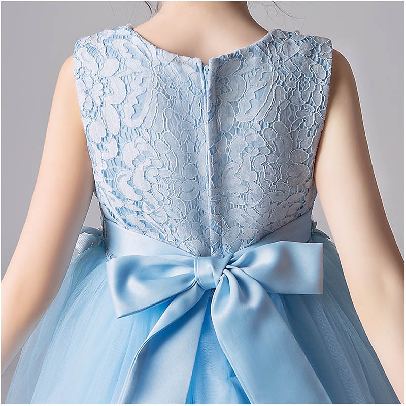 Bambino Da ragazza Abito da damigella Vestito Tinta unita Fiore decorativo Senza maniche Matrimonio Feste Informale Pizzo Multistrato stile sveglio Dolce Retato Di pizzo Tulle Abito da principessa del 2025 a $19.99 –P6
