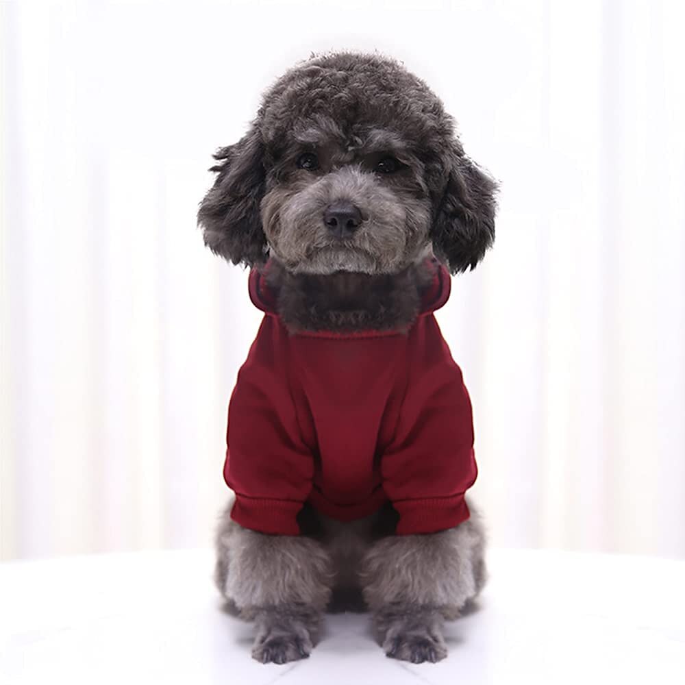 Ropa para perros, sudaderas con capucha para perros pequeños, chaleco para perros pequeños, ropa para chihuahua, abrigo cálido, chaqueta, trajes para cachorros de otoño, ropa para perros y gatos 2025 - $13.99 –P3