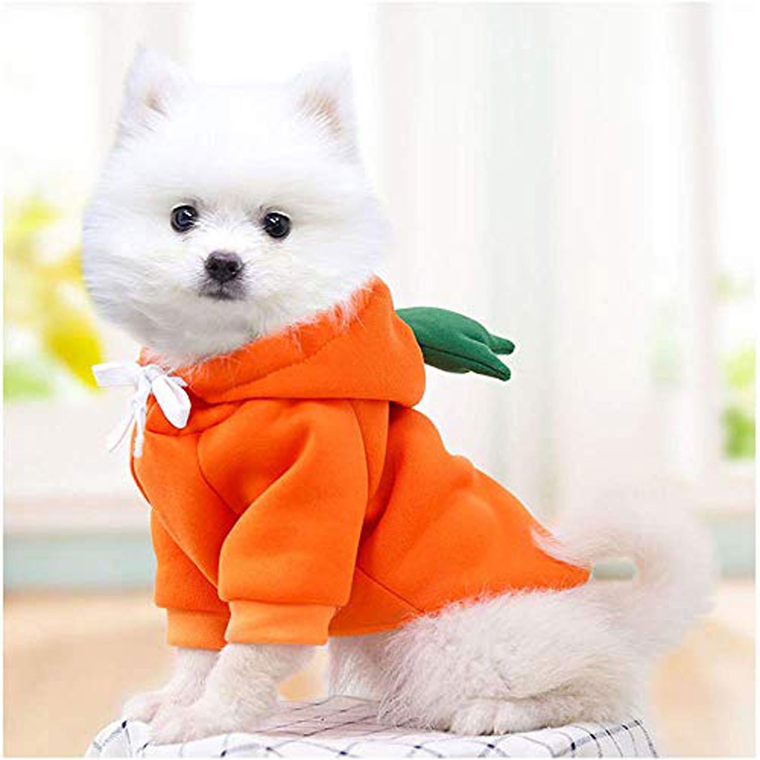 hund hoodie kläder- hund grundtröja kapp söt morot form varm jacka utomhus husdjur kallt väder kläder outfit ytterkläder för små hundar katter valp små djur 2025 - $24.99 –P2