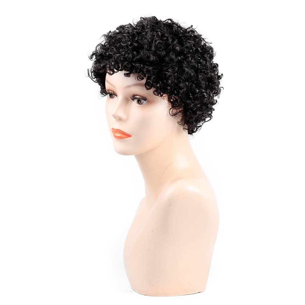 parrucche nere per le donne parrucche corte afro crespi ricci per le donne capelli sintetici resistenti al calore per la festa quotidiana del 2025 a $17.49 –P5
