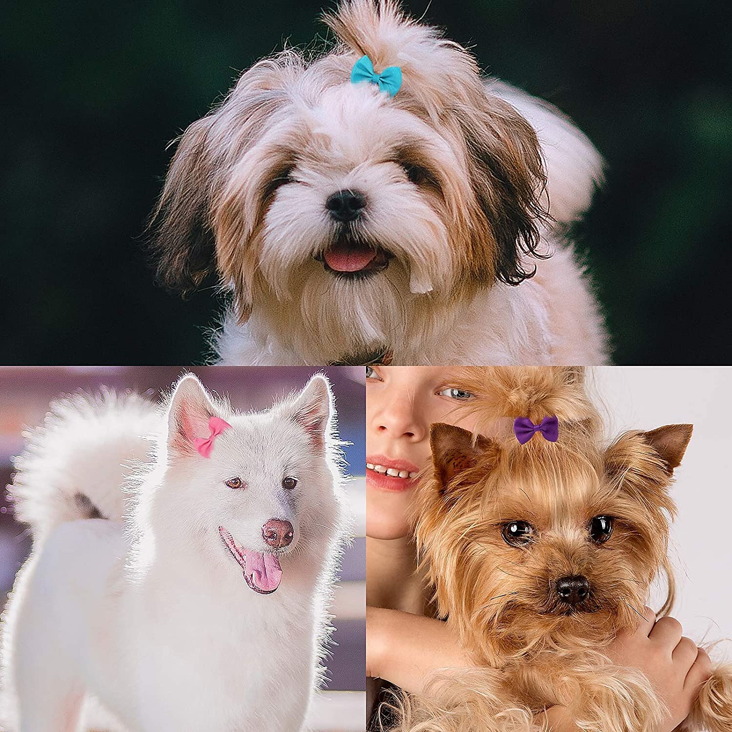 12pcs(6pairs) dog's hair bows clips,small handmade hair accessories bow pet puppy for doggies cat kitten rabbit grooming accessories 2025 - $8.49 –P2