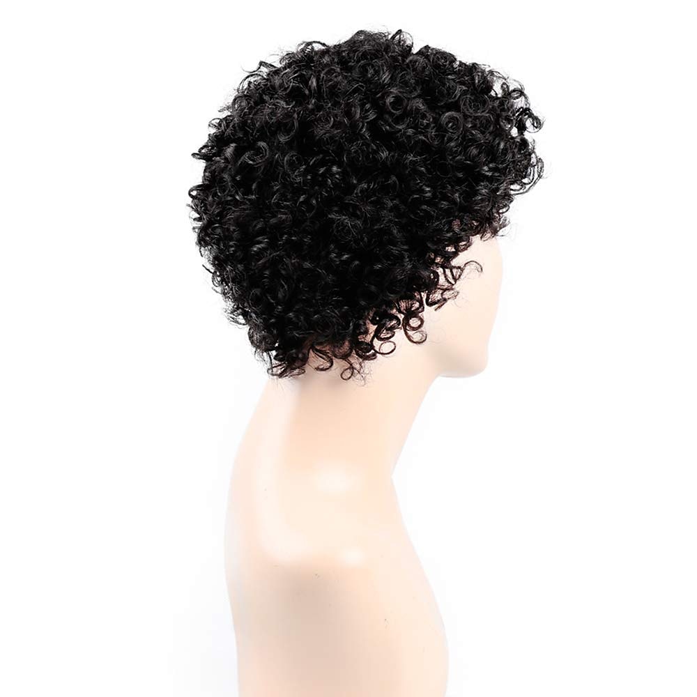 parrucche nere per le donne parrucche corte afro crespi ricci per le donne capelli sintetici resistenti al calore per la festa quotidiana del 2025 a $17.49 –P2
