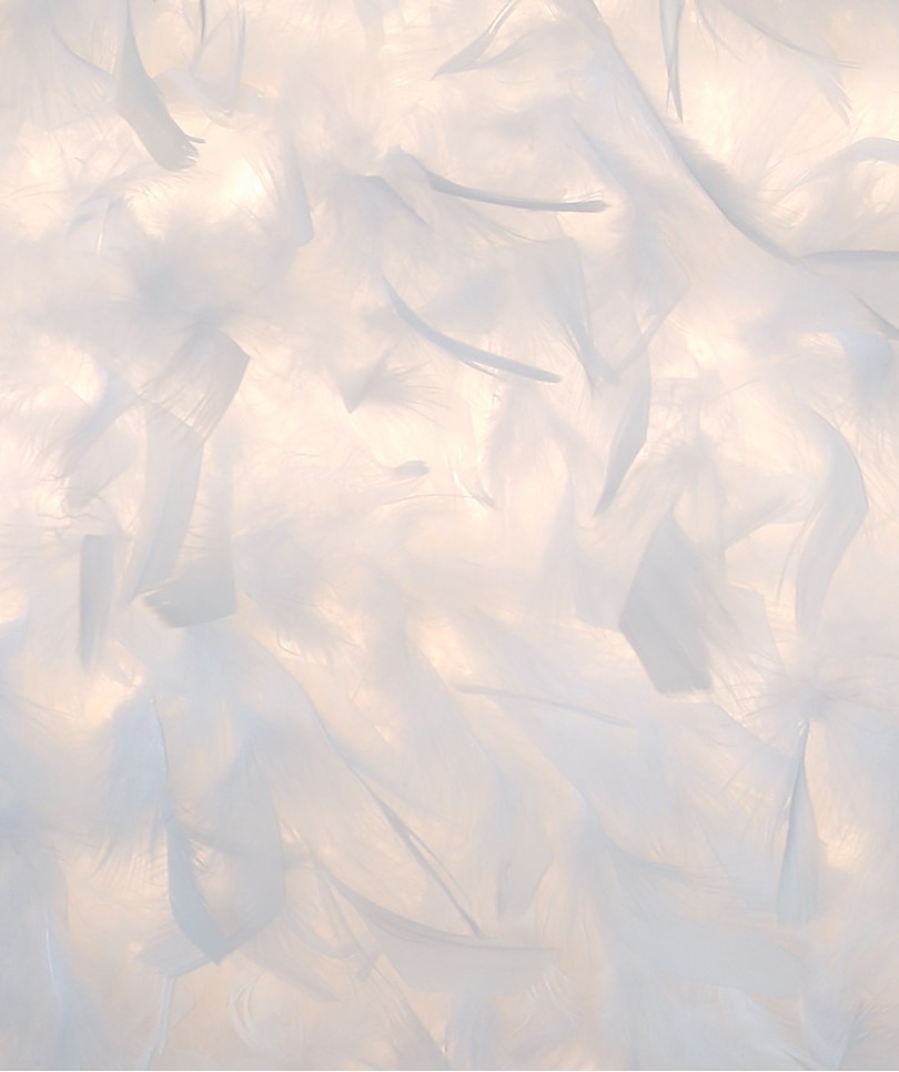 Lámpara colgante de 40/50 cm diseño único araña led pluma de metal galvanizado contemporáneo moderno 220-240 v 2026 - $158.99 –P7