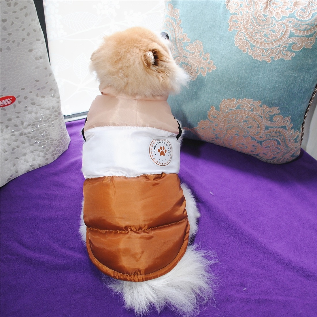 Câini Haine Σακάκι Jachetă puf Stil Clasic Iarnă Rezistent la Vânt Cald Απαλό Comfortabil Festival Îmbrăcăminte pentru câini for Mops Snautzer Chihuahua  Small Mediu 2025 - $23.99 –P9