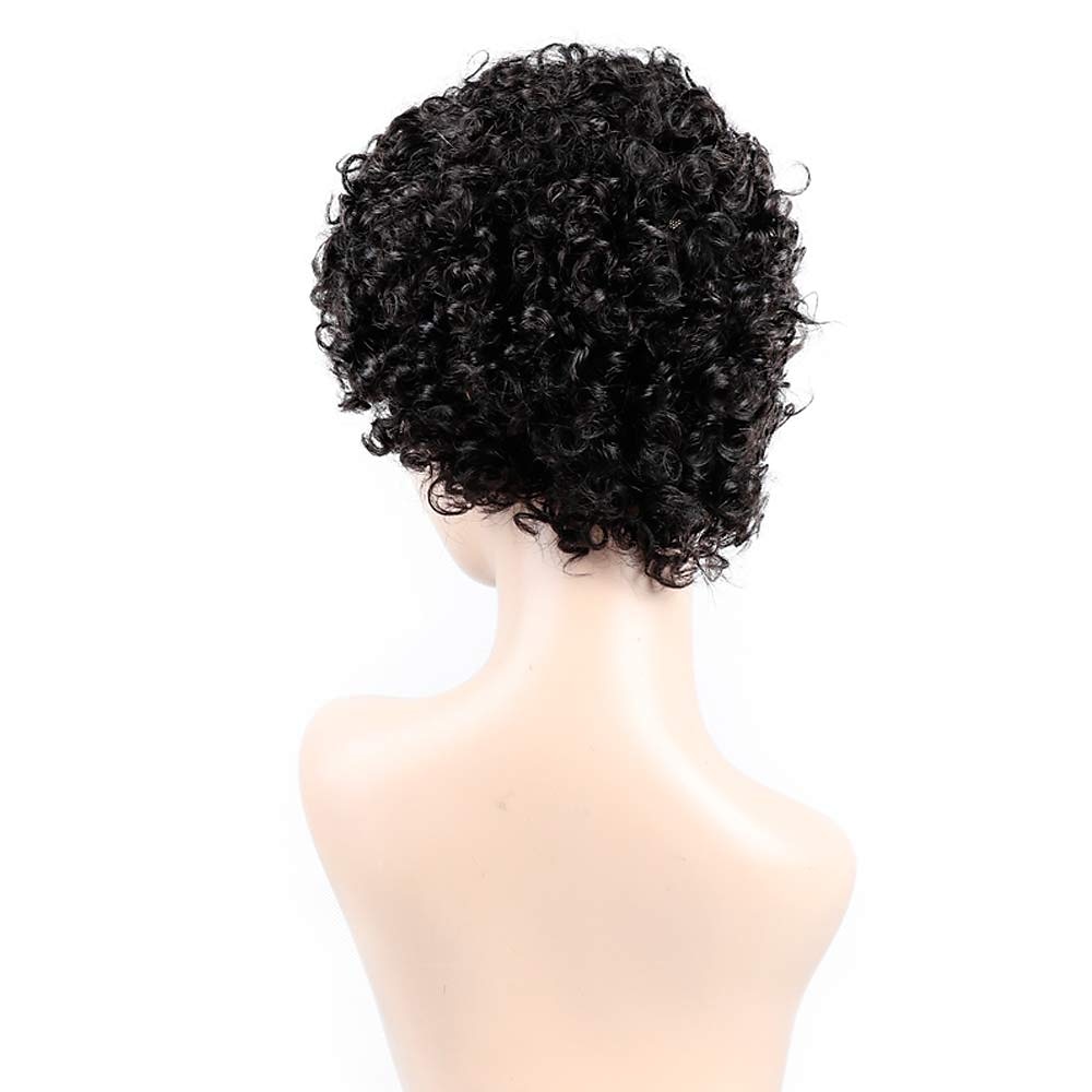 parrucche nere per le donne parrucche corte afro crespi ricci per le donne capelli sintetici resistenti al calore per la festa quotidiana del 2025 a $17.49 –P3