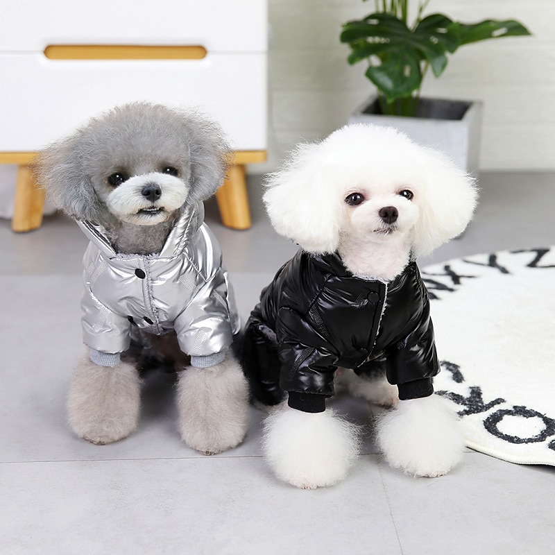 Câini Pisici Haine Σακάκι Modă Casual Iarnă Impermeabil Respirabil Απαλό Lavabil Comfortabil Casul / Zilnic Îmbrăcăminte pentru câini for Bichon Frise Pomeran un Animalut Fluture Small 2025 - $26.99 –P4