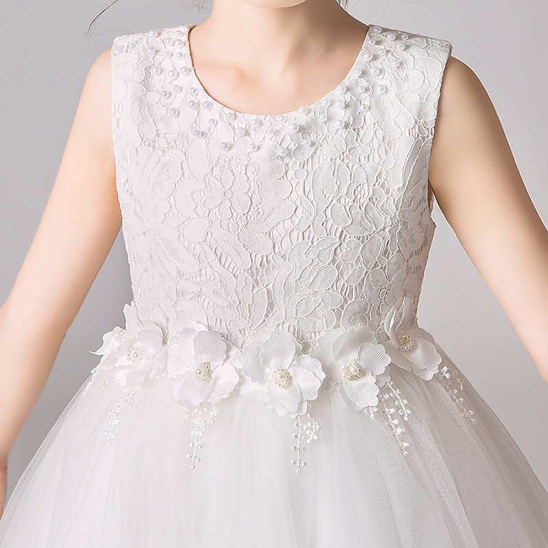 Bambino Da ragazza Abito da damigella Vestito Tinta unita Fiore decorativo Senza maniche Matrimonio Feste Informale Pizzo Multistrato stile sveglio Dolce Retato Di pizzo Tulle Abito da principessa del 2025 a $19.99 –P3