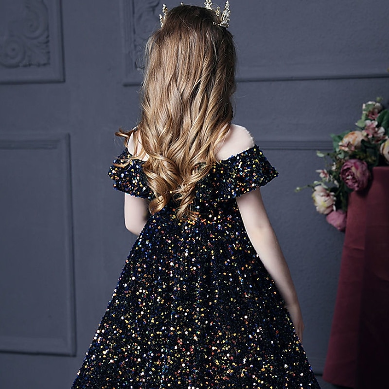 Lapset Tyttöjen Mekko Yhtenäinen Lyhythihainen Juhla Syntymäpäivä Rypytetty Silmukka söpö tyyli Prinsessa Polyesteri Maxi A linjainen mekko Tyllimekko Syksy Talvi 3-12 vuotta Hopea Musta Rubiini 2025 - $93.99 –P12