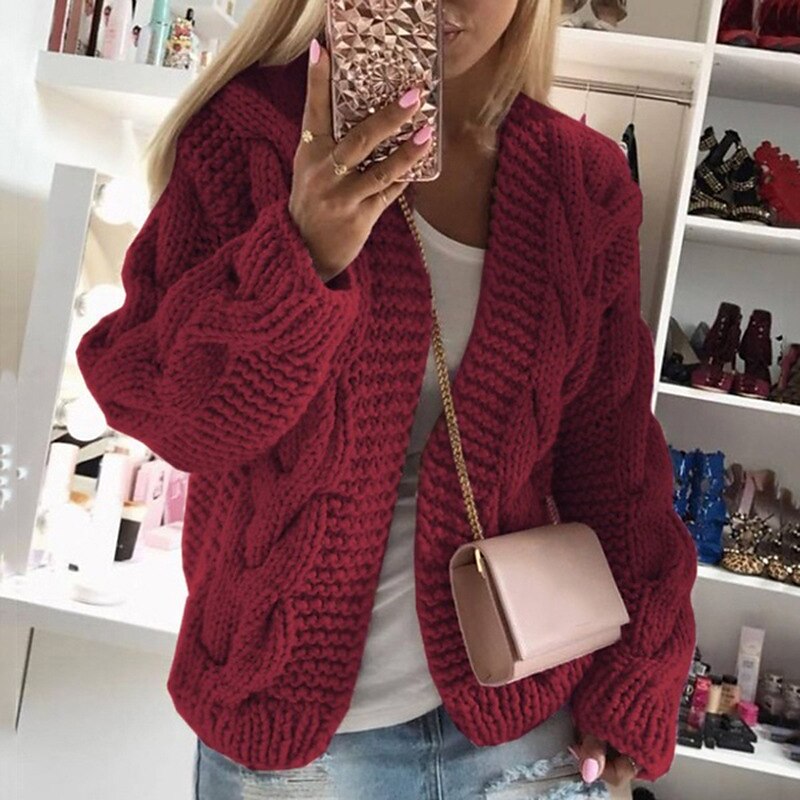 Women's Cardigan Knitted Solid Color Basic Casual Chunky Long Sleeve Loose Sweater Cardigans Hooded Open Front Fall Winter Wine Dusty Rose Gray 2023 - US $34.99 –P4