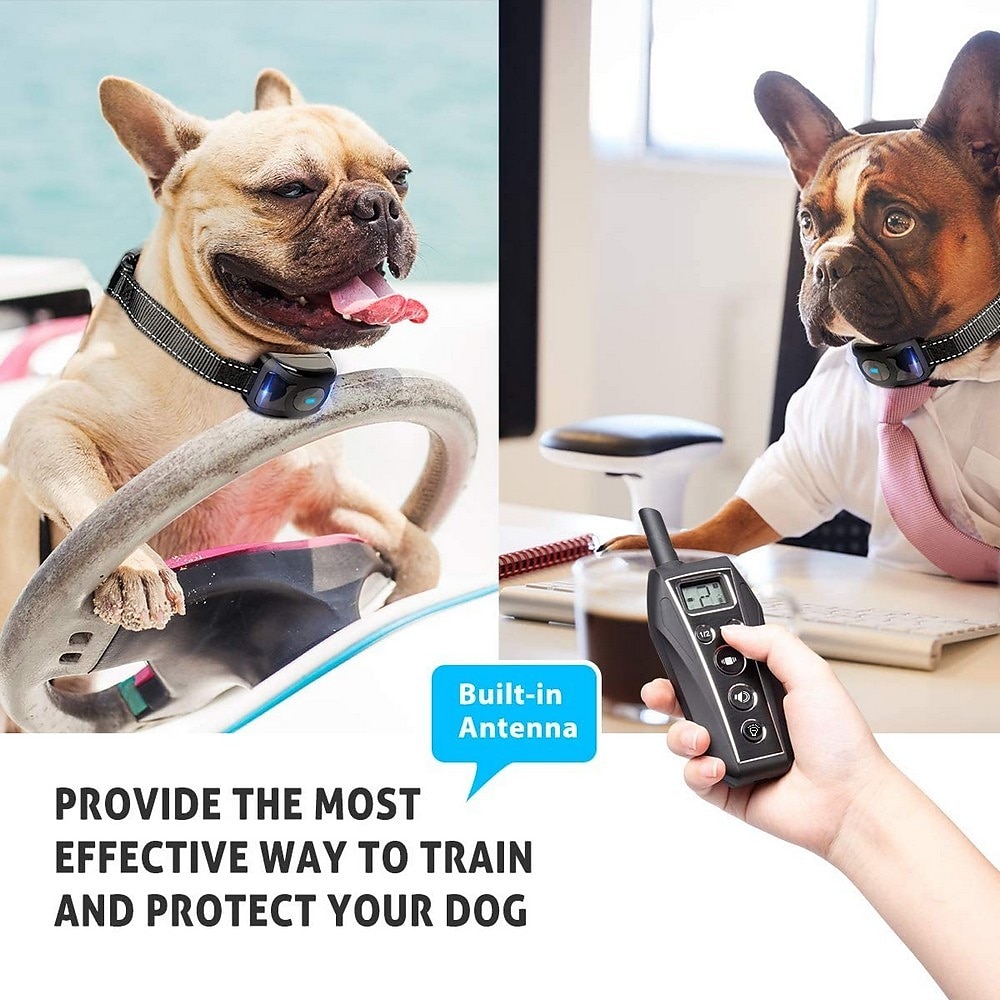 nessun shock 800m collare di addestramento per cani da compagnia beep collare di vibrazione collare di addestramento a distanza umano impermeabile ricaricabile del 2025 a €57.99 –P6