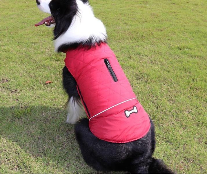 hundedun frakk vanntett vindtett vendbar hund vinterfrakk lett varm hundejakke refleks hundevest frakk klær kaldt vær hundeklær for små middels store hunder rød-m 2025 - $27.99 –P7