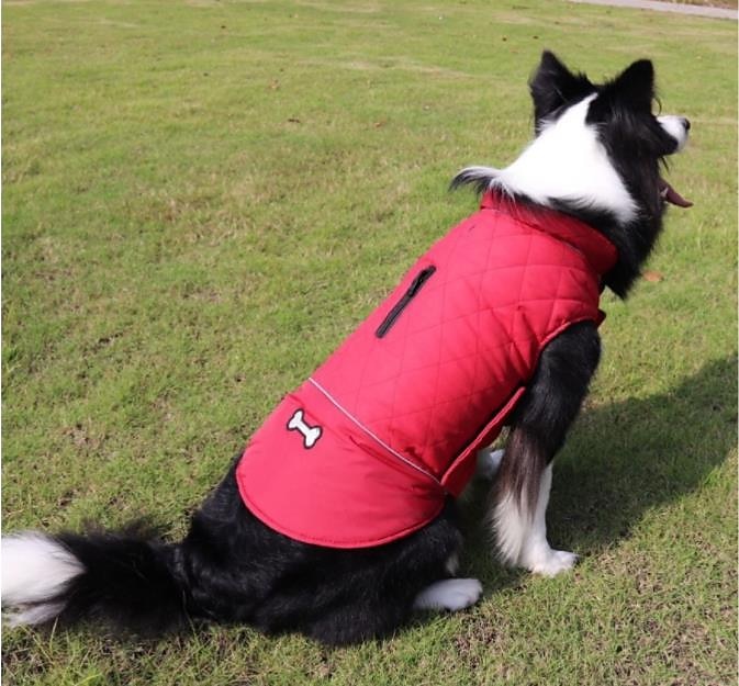 hundedun frakk vanntett vindtett vendbar hund vinterfrakk lett varm hundejakke refleks hundevest frakk klær kaldt vær hundeklær for små middels store hunder rød-m 2025 - $27.99 –P6