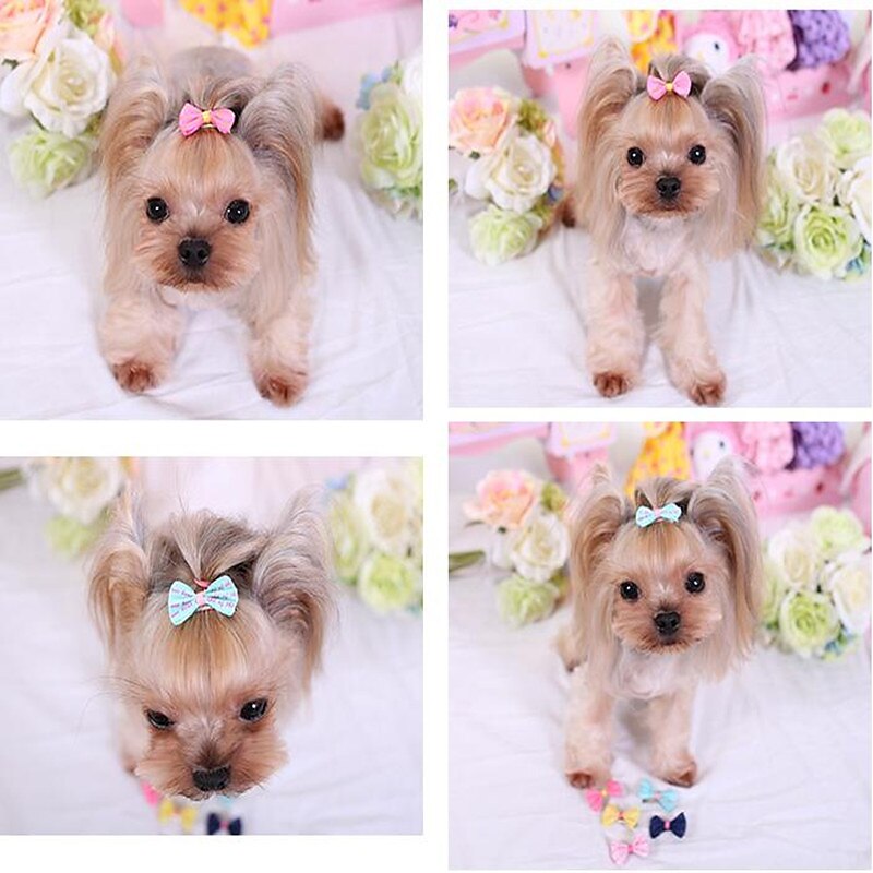 Dog Cat Hair Bow Cute Cosplay Casual Daily Dog Clothing for Shih Tzu Maltese Chihuahua Pomeranian Toy Poodle 2025 - $11.49 –P1