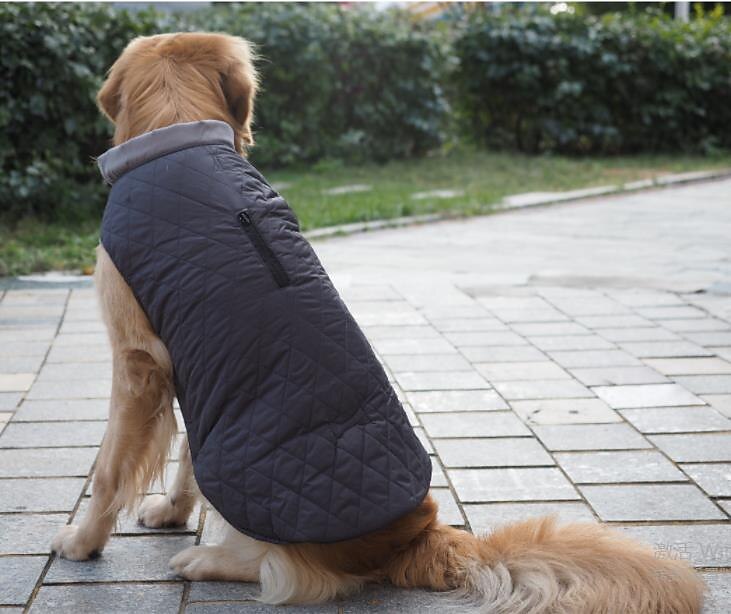 hundedun frakk vanntett vindtett vendbar hund vinterfrakk lett varm hundejakke refleks hundevest frakk klær kaldt vær hundeklær for små middels store hunder rød-m 2025 - $27.99 –P10