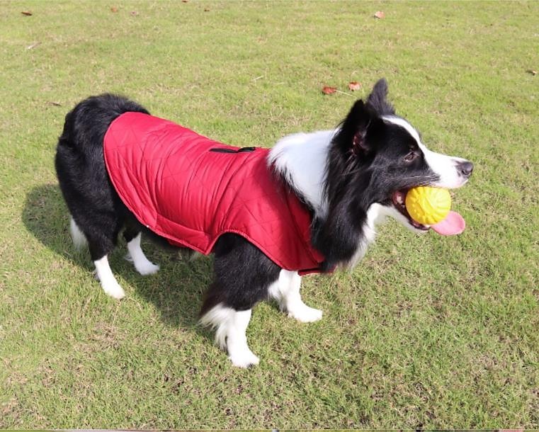 hundedun frakk vanntett vindtett vendbar hund vinterfrakk lett varm hundejakke refleks hundevest frakk klær kaldt vær hundeklær for små middels store hunder rød-m 2025 - $27.99 –P8