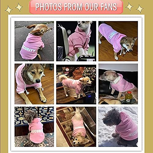 Sweat à capuche pour chien de sécurité vêtements pour chien vêtements d'hiver pull chaud pull en coton veste manteau à capuche pour petit chien moyen grand chien chat (noir, 3xl) de 2025 ? $18.49 –P7