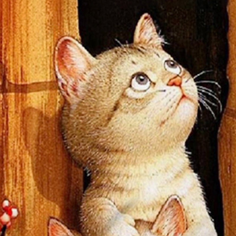 Mädchen 3D Tier Katze T-Shirt Kurzarm 3D-Druck Sommer Aktiv Polyester kinderkleidung 4-12 Jahre Schulanfang Freizeitskleidung Regular Fit 2025 - $11.99 –P3