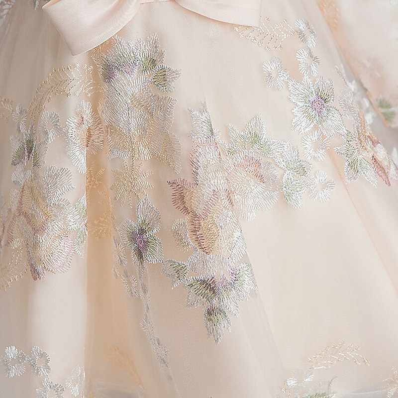 kinderkleidung Mädchen Kleid Blumen Langarm Leistung Täglich Festtage Schleife Kuschelig Süß Polyester Übers Knie Tüll-Kleid Rosa Beige 2025 - $43.99 –P2