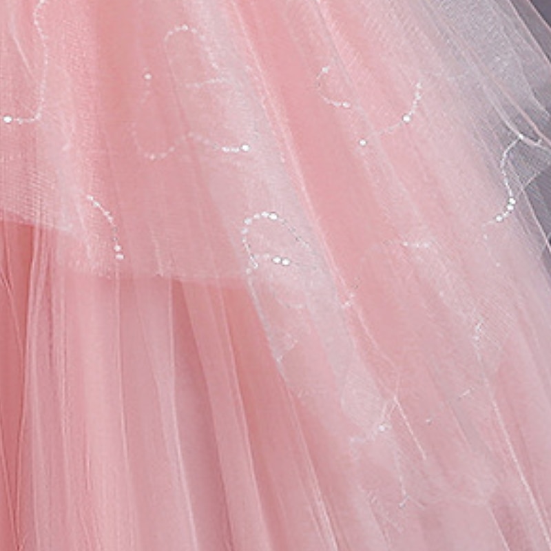 barn jentekjole blomster ensfarget en linje kjole ytelse bryllupsfest ruched mesh rosa lys blå hvit maxi ermeløse søte prinsessekjoler sommer høst normal passform 3-12 år 2025 - $35.99 –P8