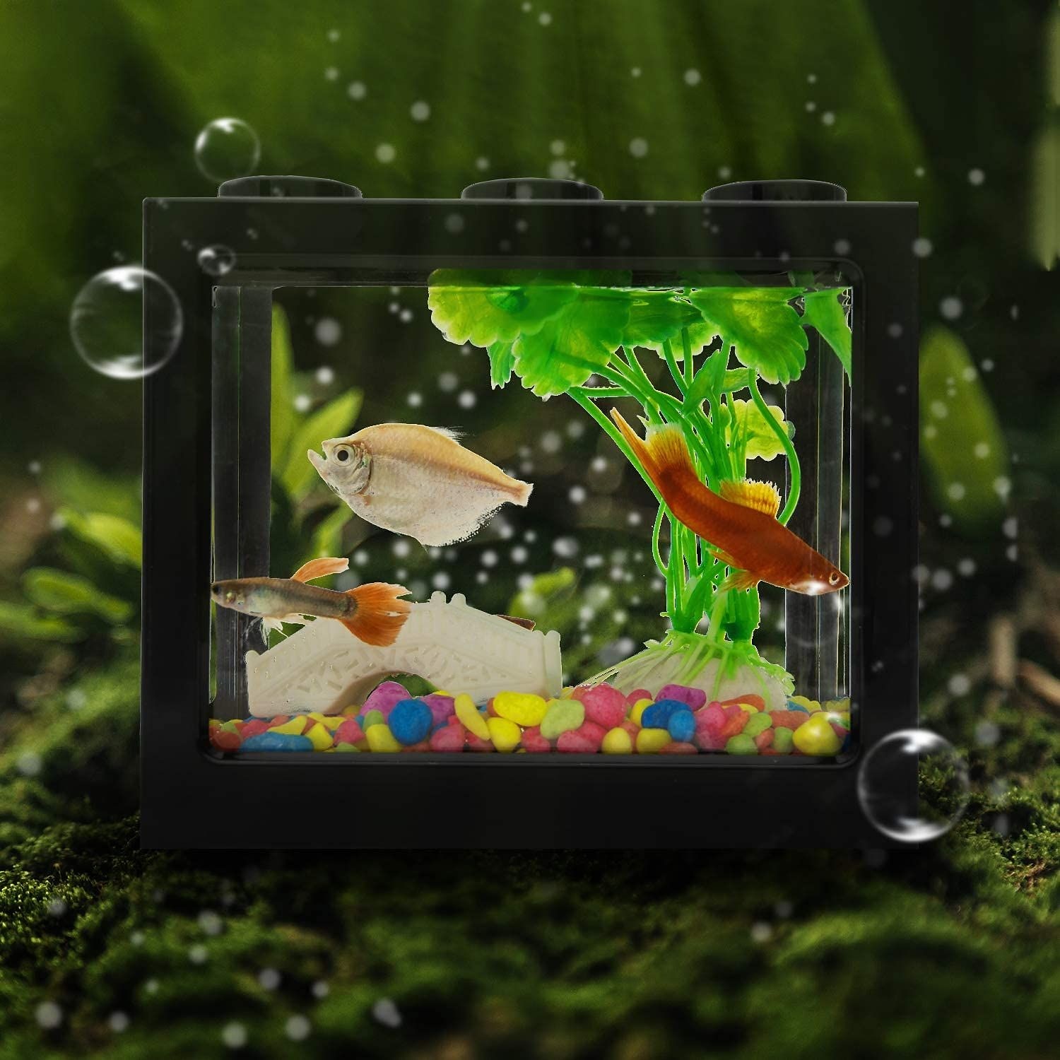 PVC Betta Fish Tank Mini Aquarium Betta Fish Accessories Building Block  Decor Ornamental Aquarium Tank Pet Decoration 2024 - $15.99