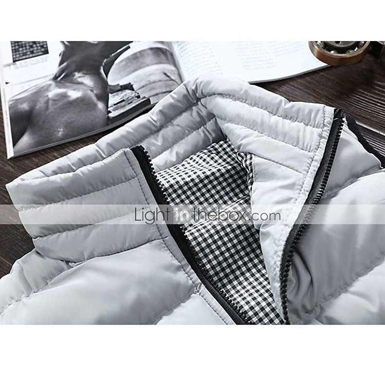 Herren Einfarbig Laufwesten Daunenweste Steppweste Frühling Herbst Winter Kariert Vollreißverschluss Innentasche Ärmellos Lässig Athleisure Stehkragen Thermowarm Wasserdicht Winddicht Atmungsaktiv 2026 - $28.99 –P4