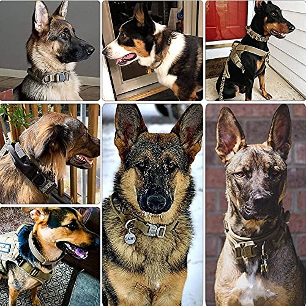 taktisk hundehalsbånd og båndsett taktisk hundehalsbånd.justerbart militært kraftig nylon hundetreningsbåndsett med kontrollhåndtak og metallspenne for trening av mellomstore hunder 2025 - $27.99 –P7