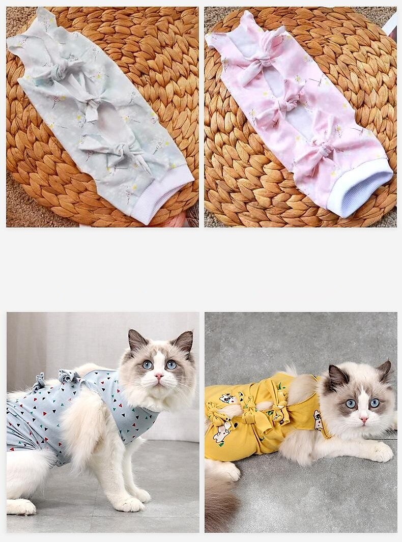 Dropship Sterilization Clothing For Cats In Summer, Thin Female Cat  Surgical Clothes, Weaning Clothing, Licking-proof And Hair-shedding-proof  Clothing For Cats After Ventilation to Sell Online at a Lower Price