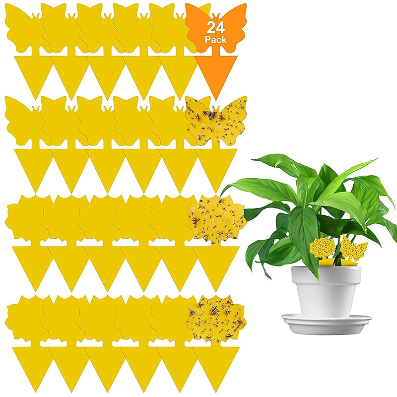 24 stuks fruitvlieg en schimmel muggenval geel kleverige bug insectenverdelger voor binnen en buiten insect ongediertebestrijding tuin sterke lijm plant 2026 - $10.99 –P1
